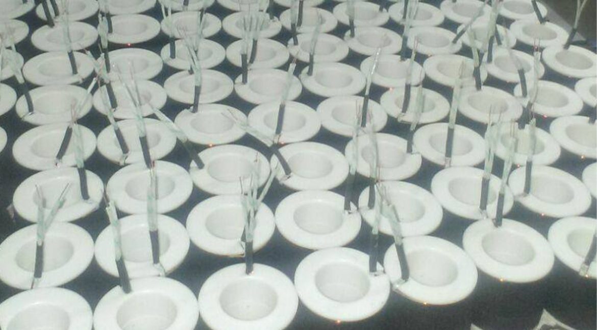 14633483_1059306817549145_2698685229659145450_o